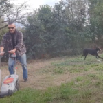 CORTACESPED STERWINS 5