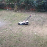 CORTACESPED STERWINS 8