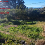 DESBROZADORA STERWINS 1