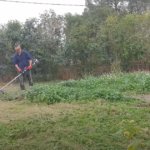 DESBROZADORA STERWINS 4