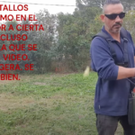 DESBROZADORA STERWINS 7