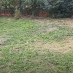 DESBROZADORA STERWINS 8